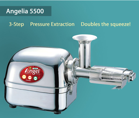 the most powerful juicer-angelia 5500