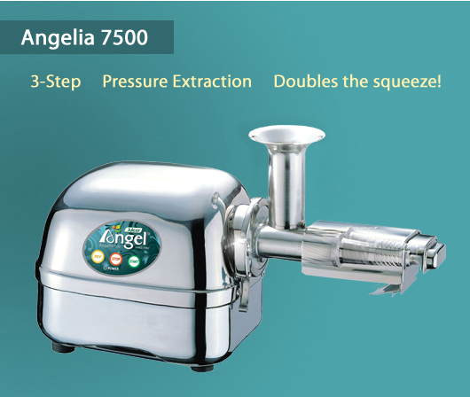  the most powerful juicer-angelia 7500