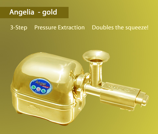 the most powerful juicer-angelia gold